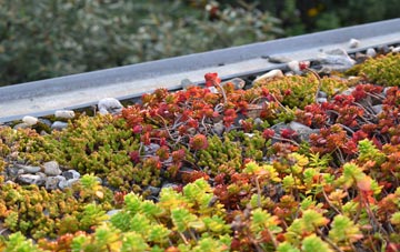 the cost of Edderside green roof installation