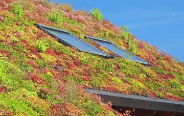 Edderside living roof systems